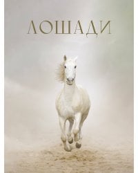 Лошади