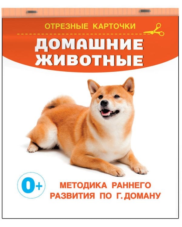 Домашние животные