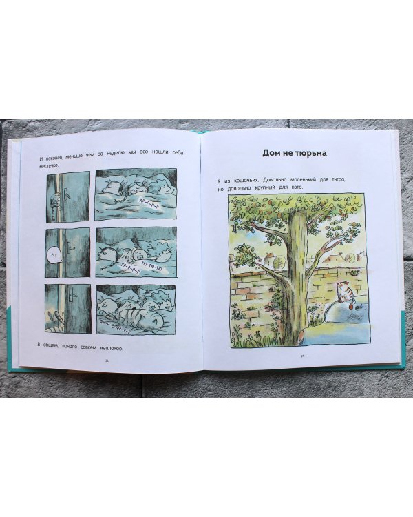 Кот Пончик. Дом кота