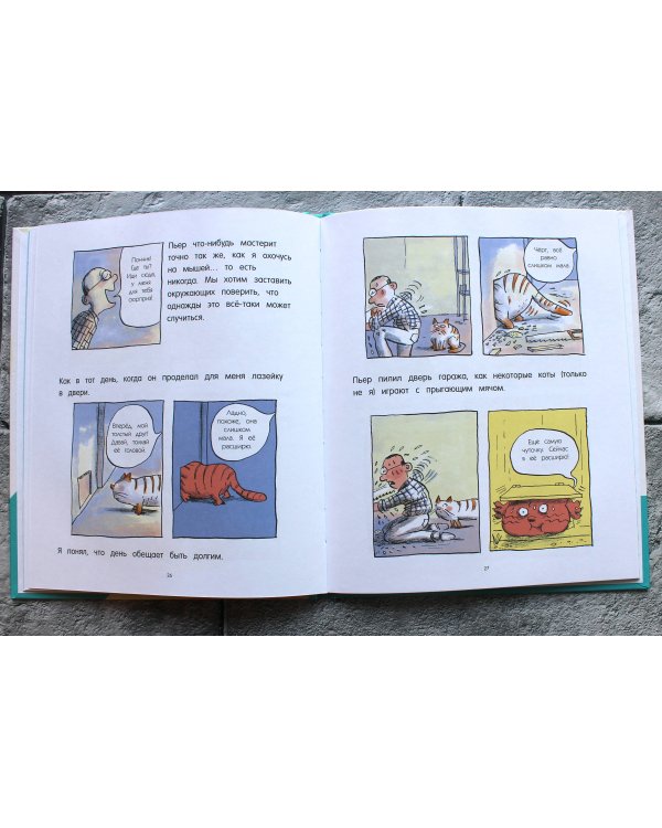 Кот Пончик. Дом кота