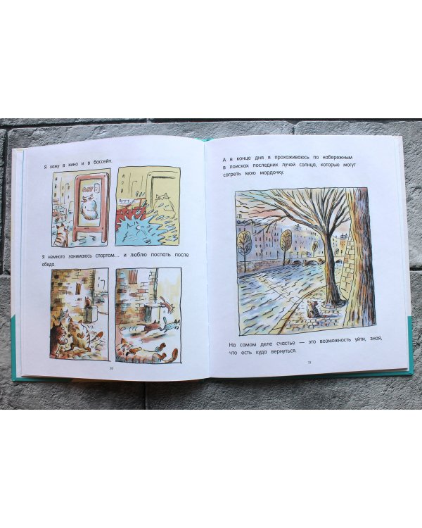 Кот Пончик. Дом кота