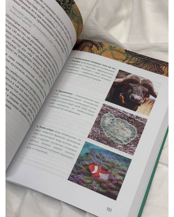 Биологично: экспресс-курс для тех, кто нервно фотосинтезировал в школе