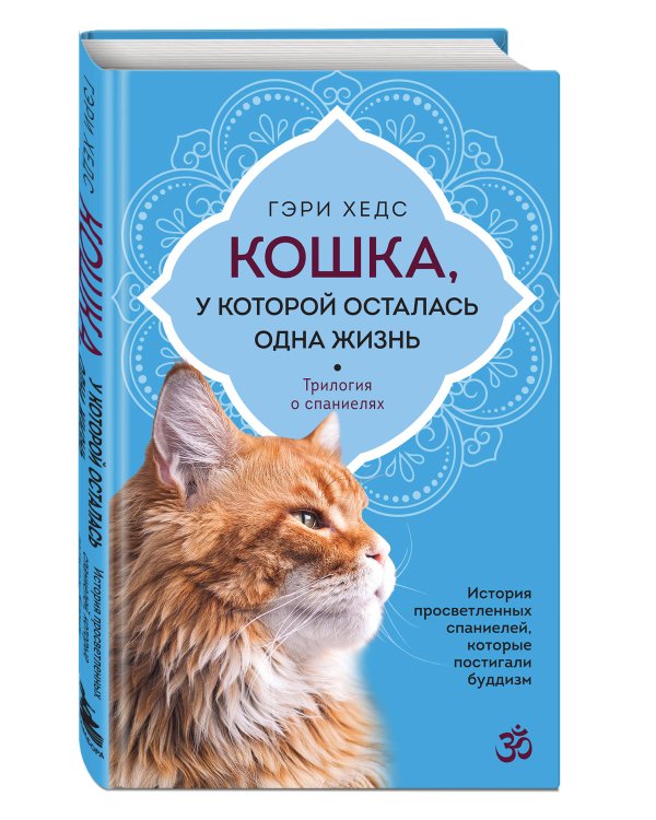 Кошка, у которой осталась одна жизнь