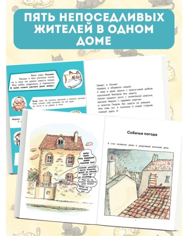 Кот Пончик. Дом кота