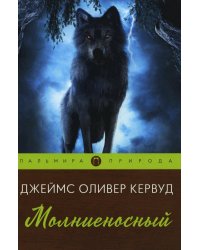 Молниеносный