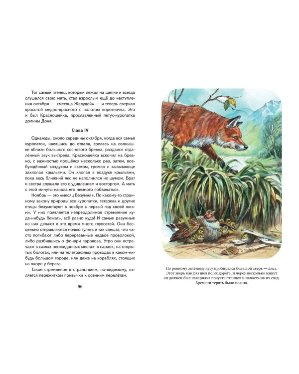 Королевская Аналостанка и другие рассказы о животных (ил. В. Канивца)