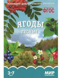 ФГОС Мир в картинках. Ягоды лесные.