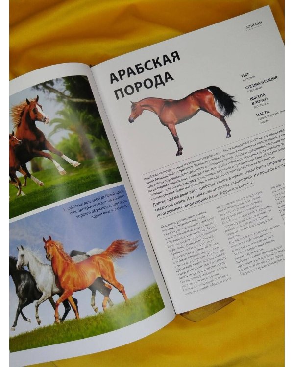 Дополнительное изображение книги «Лошади. Футляр»