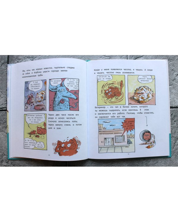 Кот Пончик. Жизнь кота