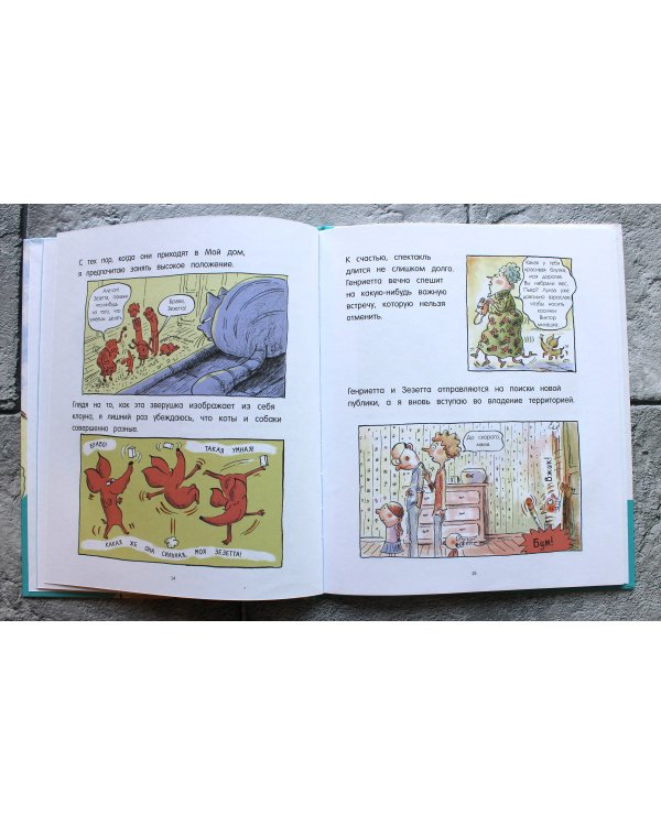 Кот Пончик. Жизнь кота