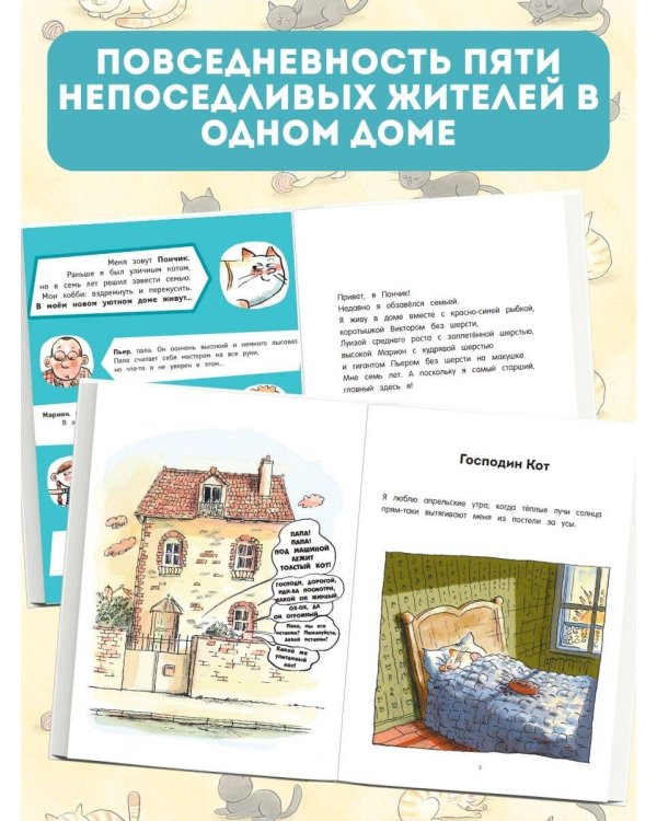 Кот Пончик. Жизнь кота