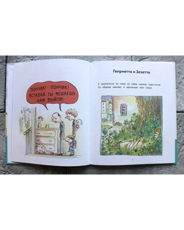 Кот Пончик. Жизнь кота