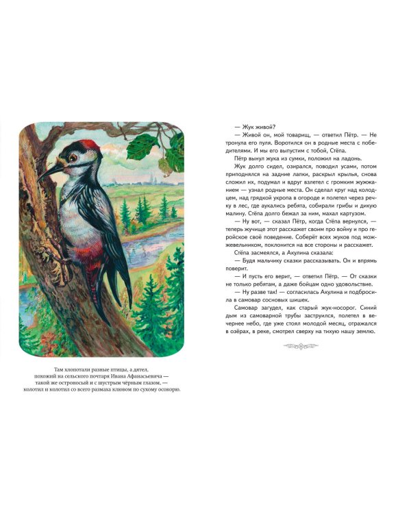 Кот-ворюга. Рассказы и сказки (ил. А. Кардашука)