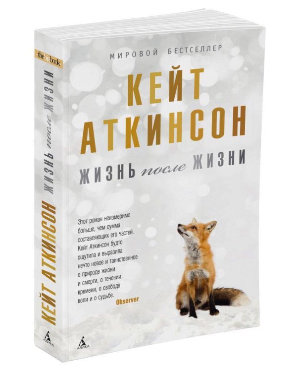 Дополнительное изображение книги «Жизнь после жизни»