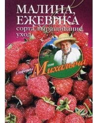 Малина, ежевика. Сорта, выращивание, уход