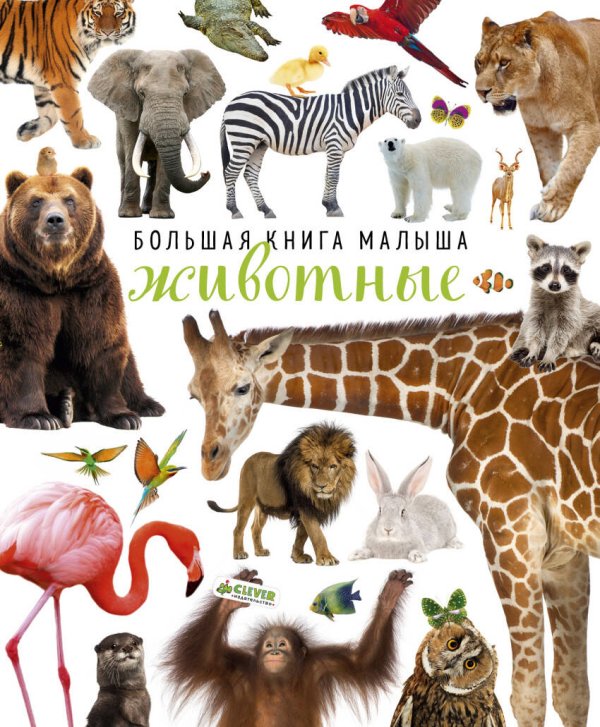 Обложка книги «Большая книга малыша. Животные» — Попова Евгения;Рами Лилу, ISBN 9785001152736