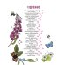 Моя первая книга Цветы и растения