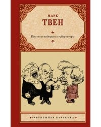 Как меня выбирали в губернаторы