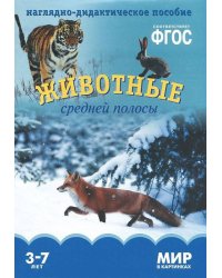 ФГОС Мир в картинках. Животные средней полосы