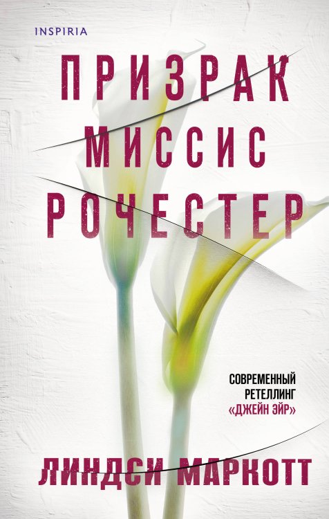 Novel. Готическая гостиная Призрак миссис Рочестер