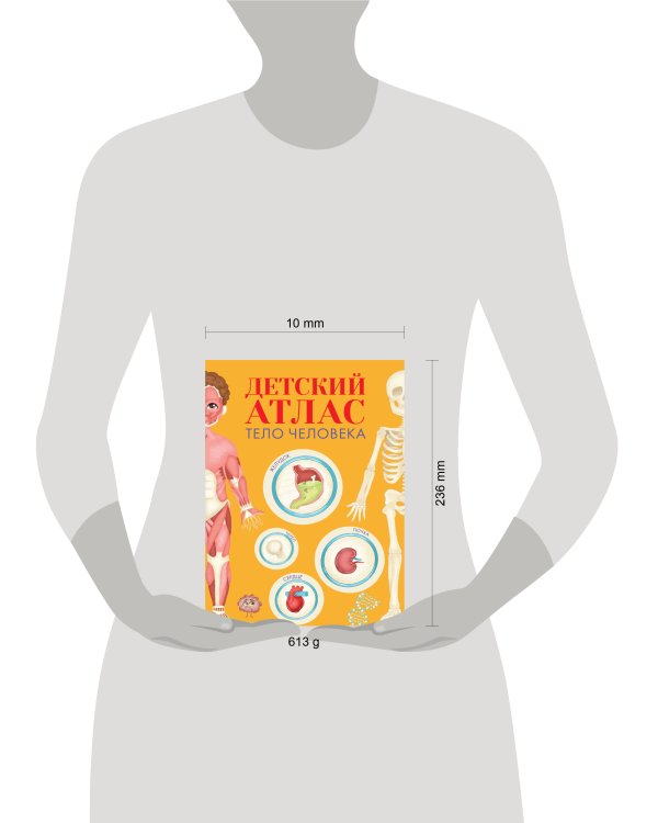 ДЕТСКИЙ АТЛАС "ТЕЛО ЧЕЛОВЕКА" мат.ламин, выб.лак, тиснение, мелов.бум.  236х336