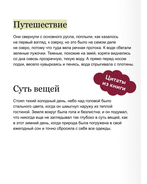 Ветер в ивах