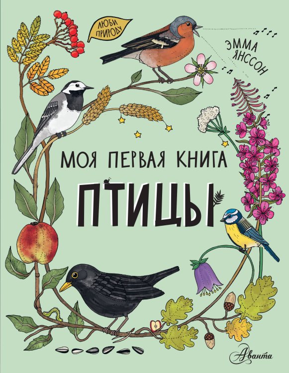 Моя первая книга Птицы