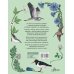 Моя первая книга Птицы