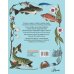 Моя первая книга Рыбы