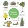 Non-fiction Деревья и кустарники