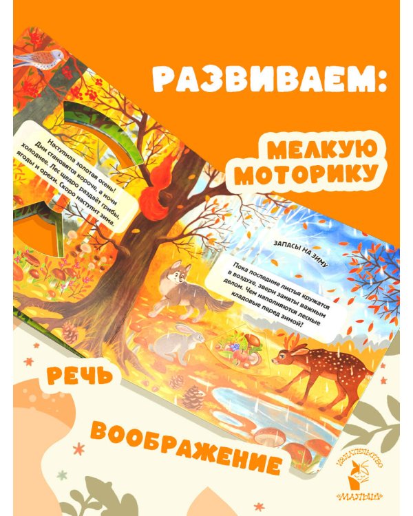 Времена года