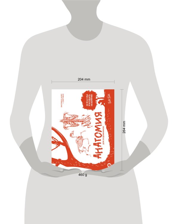 Анатомия для художников. Экспресс-курс + скетчбук