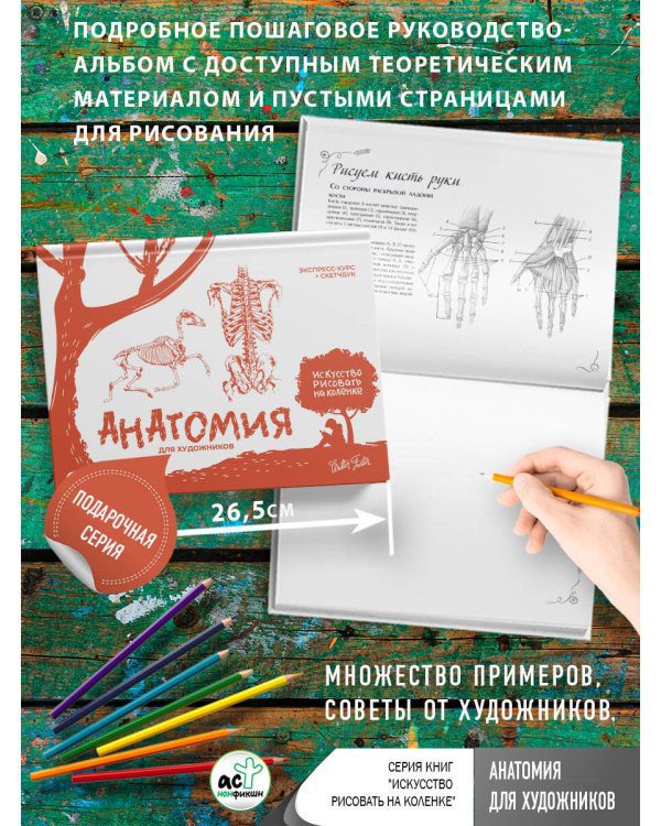 Анатомия для художников. Экспресс-курс + скетчбук