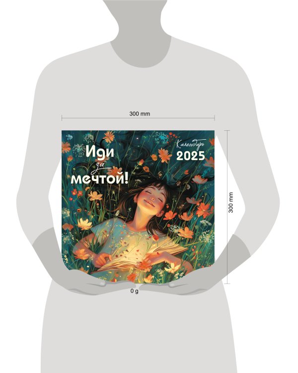 Иди за мечтой. Календарь настенный на 2025 год (300х300)