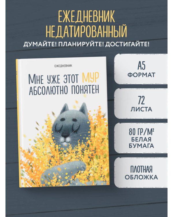 Мне уже этот МУР абсолютно понятен. Ежедневник недатированный (А5, 72 л.)