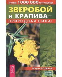 Зверобой и крапива - природная сила