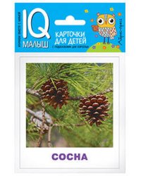 Умный малыш. Деревья