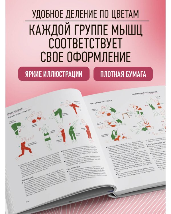 Анатомия растяжки. Иллюстрированное руководство для развития гибкости мышц и подвижности суставов