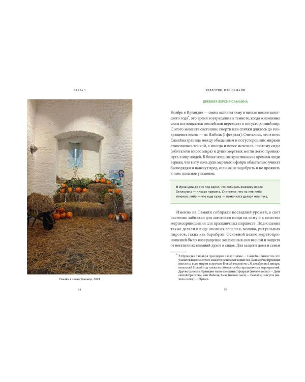 Ирландская культура смерти. «Веселые поминки», духи иного мира и похитители тел
