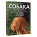 Собака. Полное руководство по дрессировке и уходу