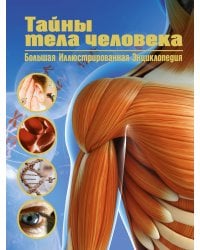 Тайны тела человека. Большая иллюстрированная энциклопедия