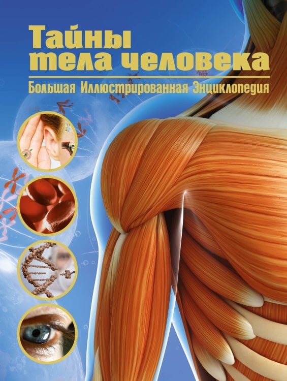 Обложка книги «Тайны тела человека. Большая иллюстрированная энциклопедия» — Малиция Диана;Сориано Джоан;Фернандес Альберто, ISBN 9785389213210