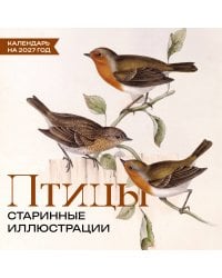 Птицы. Старинные иллюстрации. Календарь на 2027 год