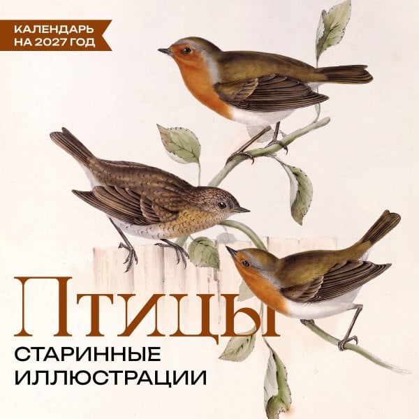 Обложка книги «Птицы. Старинные иллюстрации. Календарь на 2027 год» — None, ISBN 9785171906665