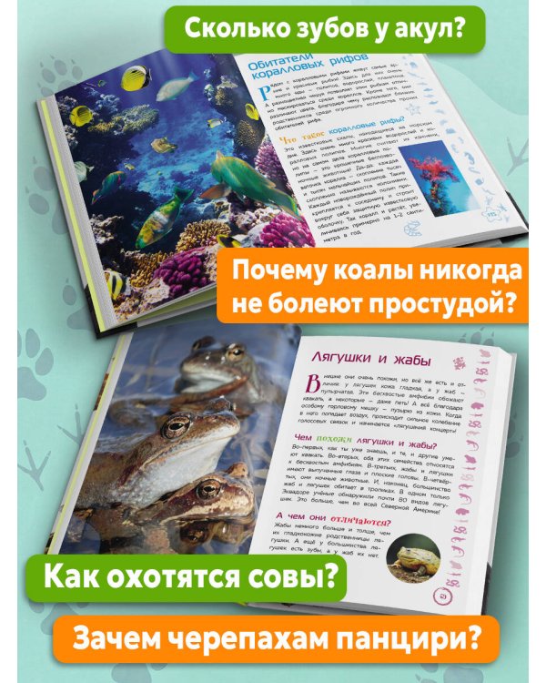 Дополнительное изображение книги «Животные. Большая детская энциклопедия»