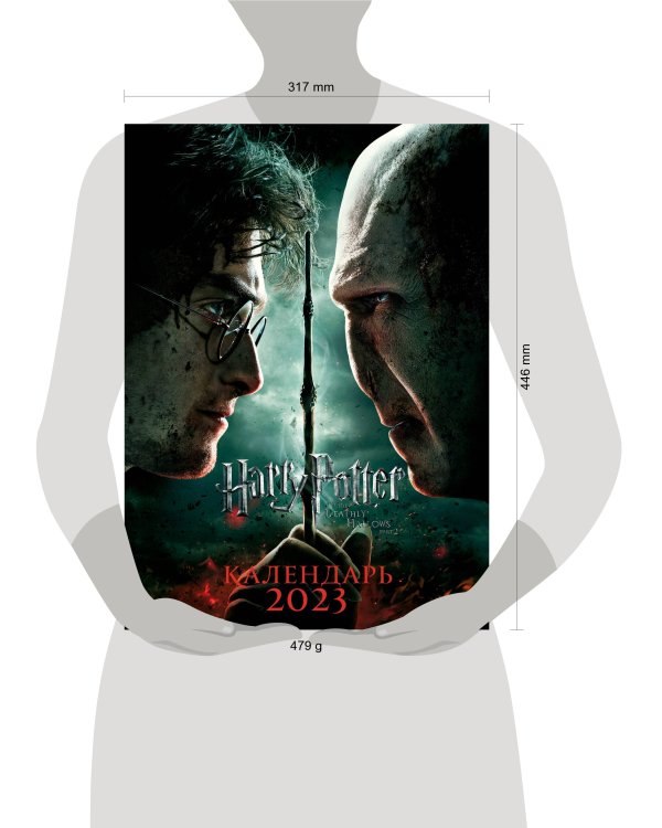 Гарри Поттер. Настенный календарь-постер на 2023 год (315х440 мм)