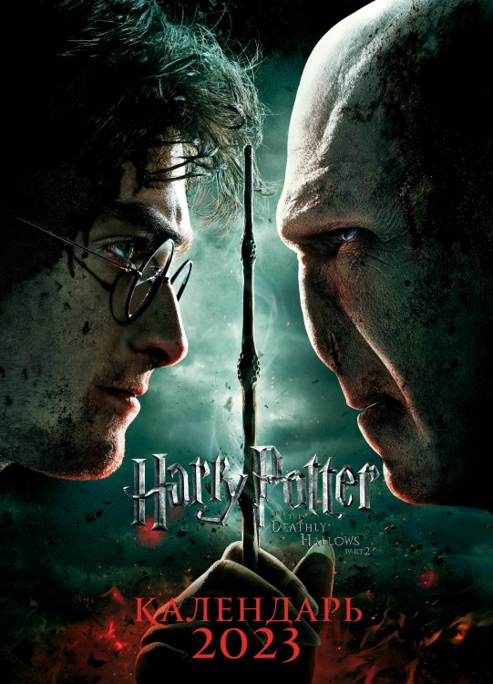 Календари настенные 2023 (постеры) Гарри Поттер. Настенный календарь-постер на 2023 год (315х440 мм)