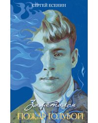 Заметался пожар голубой. Стихотворения