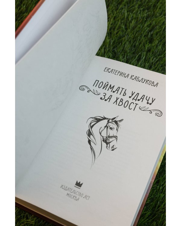 Поймать удачу за хвост