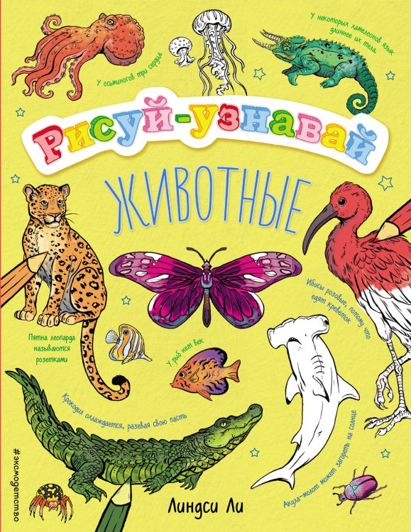 Рисуй-узнавай Животные